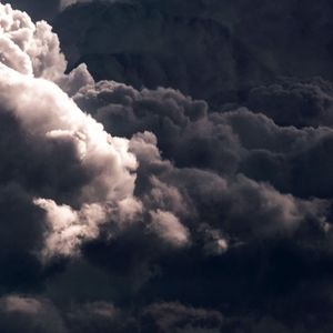 Meet your Posher, Abigail